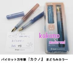 パイロットインク 万年筆 ボトルインク リザーバー付 INK70 2750円