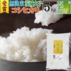 令和6年産 無洗米 茨城県産 大子町コシヒカリ 5kg 送料無料