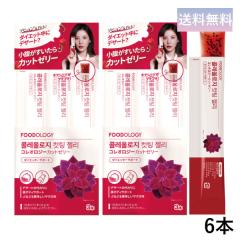 FOODOLOGY �R���I���W�[�J�b�g�[���[(�U�N����) 6�{ �Ղ�Ղ�[���[ �Y�������J�b�g �_�C�G�b�g �`�A�V�[�h ������ ���� �؍� Coleology 