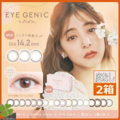 yxȂzACWFjbN oCGo[J[ EYE GENIC by Ever Color(12)~2 JR 1ĝ }X[ VؗDqC