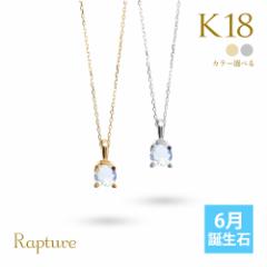 18k ネックレス レディース ブルームーンストーン 一粒 誕生石 イエローゴールド K18 18金 華奢 チェーン CG-RSP-29051-6 新生活 お祝い 