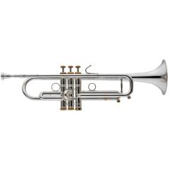 Stomvi �X�g���r / V-Raptor II DA36 S �yBb �g�����y�b�g�z�y�o�בO�����ň��S�z