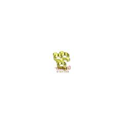 buzz �o�Y / Bach �g�����y�b�g�p ���^�� �o���u �K�C�h 3�Z�b�g