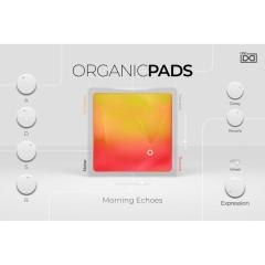 UVI Organic Pads (�I�[�K�j�b�N�p�b�h)(�\�t�g�E�F�A����)(Falcon 2��p�g���p�b�N)(�I�����C���[�i)