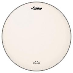 Ludwig �y2026�N1���ȍ~���ח\��zLW112RAC [Coated Ambassador 12�f�f]