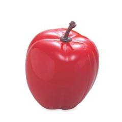 PLAYWOOD FS-RAP [Music Shaker Fruits�F�ԃ����S]�������񂹕i