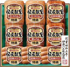 �ɓ��n�� �`������M�t�g FSV-100 ��������