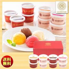 ������� �� ���W�F �G�M���X�L���[�� ����A�C�X�o���G�e�B AH-RG8 ��������