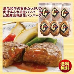 �{�茧�Y���јa�� ���n���o�[�O�ƍ��Y���҂� ���n���o�[�O ARC-064 ��������