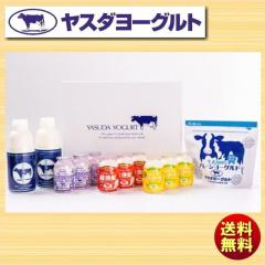 ���X�_���[�O���g�M�t�g W2365 ��������