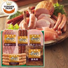 �k�C���g���f���t�@�[���M�t�g�@TF-4C�@���������@