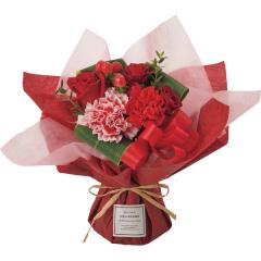 ��̓������̂܂܏����@��̓��u�[�P�@���b�h�@��̓��A�G�ߌ���A���ꂳ��A��ꂳ��A���蕨�A�v���[���g�A��̓��M�t�g�A���ӁA����