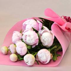 ��̓����V���N���N�̉ԑ��@��̓��A�G�ߌ���A���ꂳ��A��ꂳ��A���蕨�A�v���[���g�A��̓��M�t�g�A���ӁA�������肪�Ƃ��A�u����