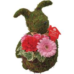 ��̓������X���r�b�g�E�A�����W�@��̓��A�G�ߌ���A���ꂳ��A��ꂳ��A���蕨�A�v���[���g�A��̓��M�t�g�A���ӁA�������肪�Ƃ��A