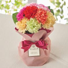 ��̓��x��Ă��߂�ˁ����̂܂܏����u�[�P�@�V�F�~�b�N�X�J�[�l�[�V�����@��̓��A�G�ߌ���A���ꂳ��A��ꂳ��A���蕨�A�v���[���g