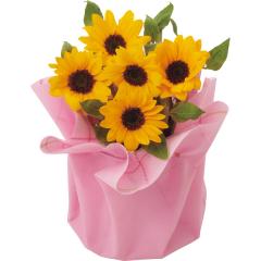 ��̓����Ђ܂�蔫�A���u�T�����b�`�I�����W�v�@�S�D�T���@��̓��A�G�ߌ���A���ꂳ��A��ꂳ��A���蕨�A�v���[���g�A��̓��M�t�g�A