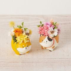 ��̓����A�j�}���v���U�i�v���U�[�u�h�t�����[�j�@�Č��E�˂��@��̓��A�G�ߌ���A���ꂳ��A��ꂳ��A���蕨�A�v���[���g�A��̓��M�t