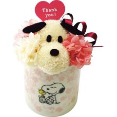 ��̓������ԃX�k�[�s�[�y�����������@�s���������@�������i�v���U�[�u�h�t�����[�j�@��̓��A�G�ߌ���A���ꂳ��A��ꂳ��A���蕨�A�v