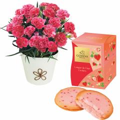 ��̓����S�f�B�o���܂���䕃N�b�L�[�ƃJ�[�l�[�V�������A���s���N�n�S���Z�b�g�@��̓��A�G�ߌ���A���ꂳ��A��ꂳ��A���蕨�A�v���[