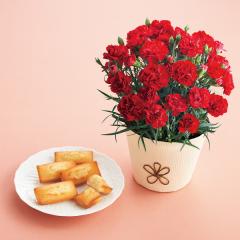 ��̓����A�����V�����p���e�B�G�t�B�i���V�F�ƃJ�[�l�[�V�������b�h�S���Z�b�g�@��̓��A�G�ߌ���A���ꂳ��A��ꂳ��A���蕨�A�v���[