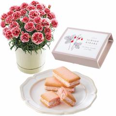 ��̓���䕂����ƃJ�[�l�[�V�������A���u�������z�C�b�v�v�T���̃Z�b�g�@��̓��A�G�ߌ���A���ꂳ��A��ꂳ��A���蕨�A�v���[���g�A