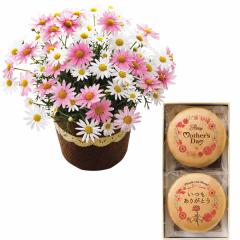 ��̓�����̓��I���W�i���v�����g�Œ��ƃ}�[�K���b�g���A���T���̃Z�b�g�@��̓��A�G�ߌ���A���ꂳ��A��ꂳ��A���蕨�A�v���[���g�A