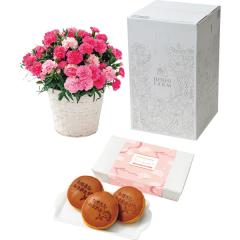 ��̓����J�[�l�[�V�������A���u�z�b�g�n�[�g�v�T���Ɠ����Ȃ�Ƌ����̂ǂ�Ă��@��̓��A�G�ߌ���A���ꂳ��A��ꂳ��A���蕨�A�v���[