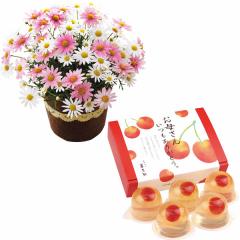 ��̓����R�`���Y�������ڂ̃[���[�ƃ}�[�K���b�g���A���T���̃Z�b�g�@��̓��A�G�ߌ���A���ꂳ��A��ꂳ��A���蕨�A�v���[���g�A��