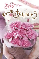 �y��̓��̃v���[���g�z�J�[�l�[�V���� �\�[�v�t�����[ ��̓� �� �M�t�g �{�b�N�X �t�����[�M�t�g �v�` �u�[�P ���� ������ �ԑ� �v���[