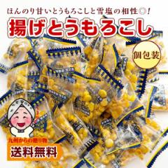 小袋 おつまみ 揚げとうもろこし 約36g ポイント利用 塩味 小分け 訳あり お酒 送料無料 個包装 とうもろこし 雪塩 うま塩味 サクサク