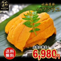 無添加 生バフンウニ 100g 特選A品 内容量100g×1ケース 根室産 塩水うに バフンウニ 生うに うに ウニ 雲丹 うに丼 海鮮丼 御歳暮 お