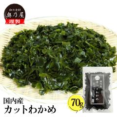 Y Jbg킩 70  [ `bNtܓ Y  Y JbgJ