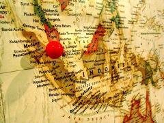 �v���[���g �R�[�q�[ �������� �}���f����G�P�X�y�V���� 400g �X�т�n�[�u�̂悤�ȍ���!���[���� ���� �a���� �c�� ���e �j�� �� �F�B 