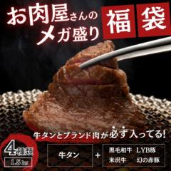 肉 福袋 4種以上 1.5kg以上( 牛タン ・ブランド肉入り) 訳あり 送料無料 12,000円相当 焼肉セット 牛タン 黒毛和牛 牛肉訳あり 牛肉ブ