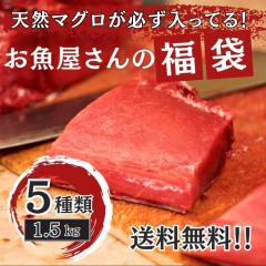 �}�O�� �󂠂� �V�R�܂�����肨��������̕��� 5�� ��1.5kg�ȏ� 10,000�~���� �V�R�� ���o�`�� �{�� �얎 ���X �Ԑg ���g�� �� �}�O�� 