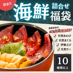 �������� �C�N ���� 10��ȏ���� �V�R�܂��� �V�R����� ���_�O �ɐ����� ���X 2���~����  ���� �I �C�V �G�r ���� �E�j �� �A���r �܂�