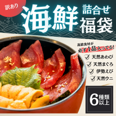 訳あり海鮮福袋 6種以上入り(天然まぐろ 天然あわび 生雲丹 伊勢えび 等々) 送料無料 冷凍 海鮮 魚 かに 蟹 海老 エビ 雲丹 ウニ 鮭 ア