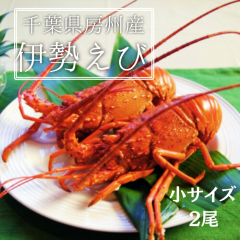 �������� ��t���[�B�Y �ɐ��C�V  2�� �����ߋ}������ �G�r ���� ���� ���T�C�Y