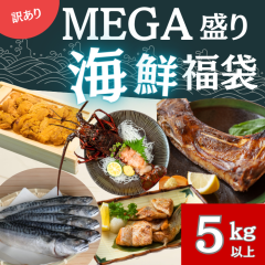 �������� ���� MEGA���� �C�N���� 5kg�ȏ� 5��ȏ� �V�R�܂��� ���g�� �Ԑg����