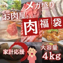 �������� SALE �ƌv�����I �����������MEGA���� 4kg5��ȏ�l���� ���^�� �n���o�[�O �؏��ԓ��X