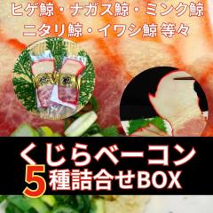 �������� �~�x�[�R�� �~�� 5�� �H�ה�� �Z�b�g ������ �N�W��  �l�ߍ��킹 ���� ���܂�  ���܂� 