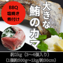 �������� �}�O���̃J�} ��2kg ��3�� �L�F���H BBQ �ς� ���Ă� �V�N �󂠂� �J�}�g��
