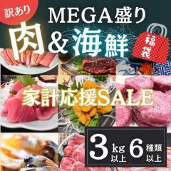 �������� �ƌv����SALE �� �C�N MEGA���蕟�� 3kg�ȏ� 6��ȏ� 