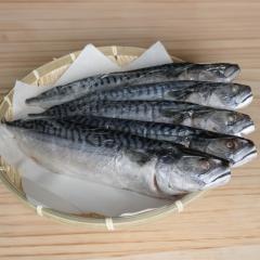 �������� �T�o�̕������� ��170gx14�� �Ă��� �[�� ������ ���Y�� ����