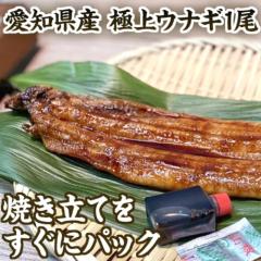 �������� �ō��� ���m���Y �V ���Ă� 1�� ��`�^�� �R�� �t�� ���S���� ���Ȃ� �E�i�M ���ȏd