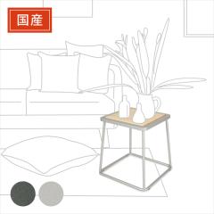 �򕌓S�̏� �y���Y/���{���z �֎q �X�c�[�� �l�p �����i �v���`�i���^���b�N ����41.5�~��40�~���s40 �ۃp�C�v �C�X ���u�� ���ݑ� �ؐ� 