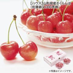 �y�n�E�X�z�R�`���Y�������ځi�����і��͍g�G��j ��������