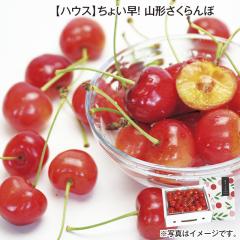 �y�n�E�X�z���傢���I�R�`�������� ��������