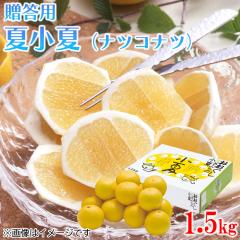 �����p �ď��āi�i�c�R�i�c�j�P�D�T���� ��������