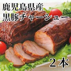 ���������Y���؃`���[�V���[ �Q�{